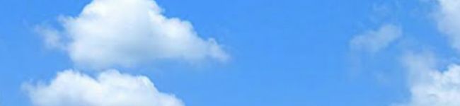 ｙｕｎｏｈａｎａ's header image