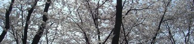 ＊かおりんぐ＊'s header image