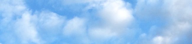 ひまわり☆キッチン's header image