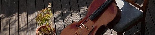 cellotaka's header image
