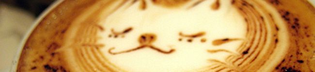 aroneko's header image