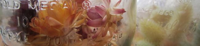sugerpine's header image