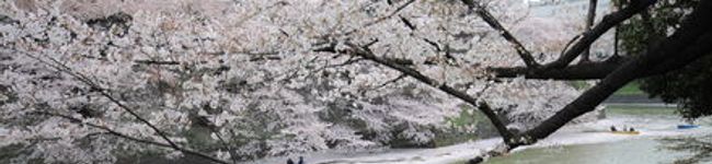 marichey's header image