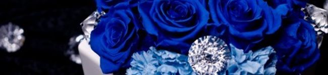 _renon_'s header image