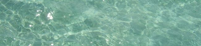 ｈｉｎａｄｏｒｉ's header image