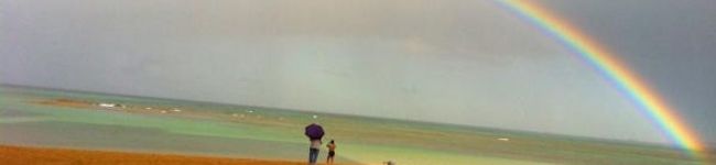as1231's header image