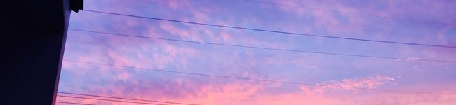 ＊ｻｸﾗｻｸﾋ＊'s header image