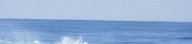 赤鼻翠's header image