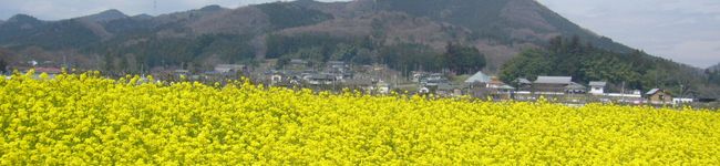 かぼきち's header image