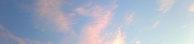 yume☆mamy's header image