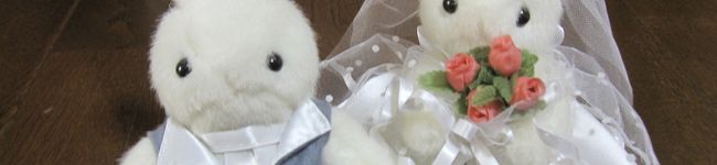 たのすけどの's header image