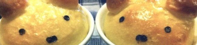 hacchuum's header image