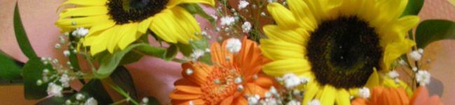 sora1018's header image