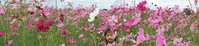 4Smiles's header image