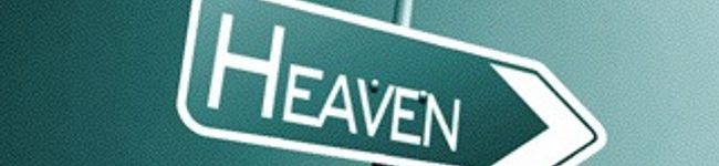 sale_pepe's header image