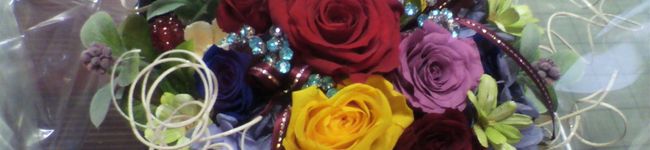 nanadenana's header image