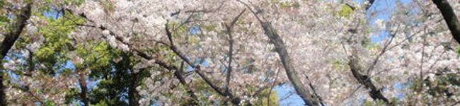 Kaede2326's header image