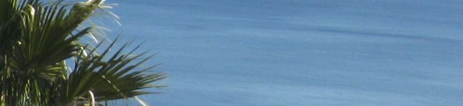 coconachu's header image
