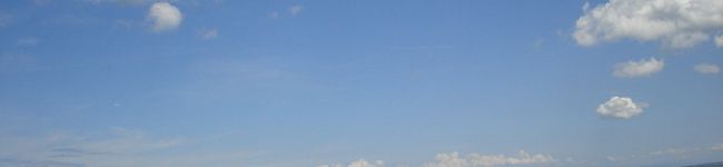 ひまうさ７４'s header image