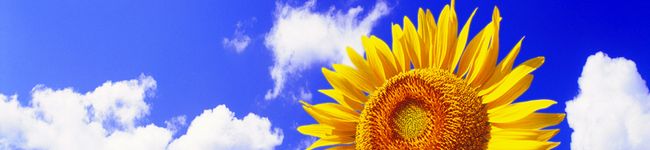 く～こ☆'s header image
