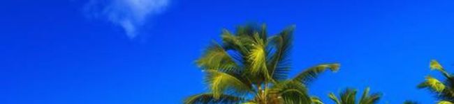 AquaSiYou's header image