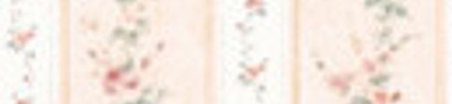 姫羅＊'s header image