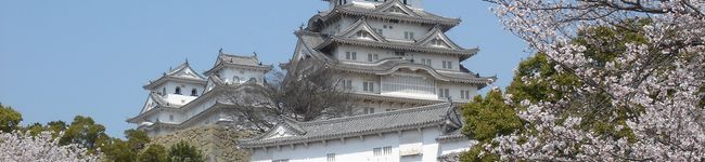 しのぶのキッチン's header image