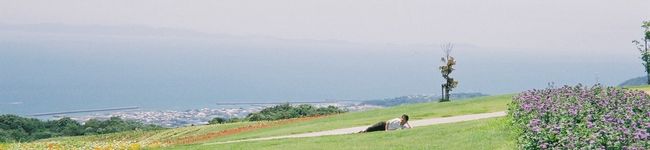 みやこ's header image