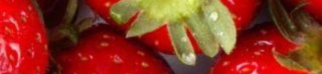 つれづれ食堂's header image