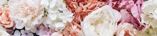 natsuho＊'s header image