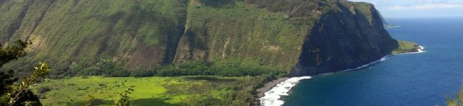 ☆KOKUA☆'s header image