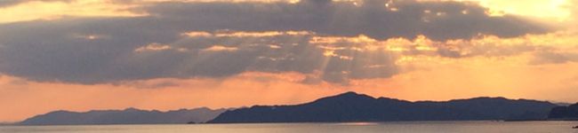 たこ１３４'s header image