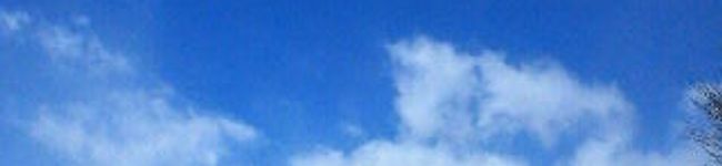 美都基's header image