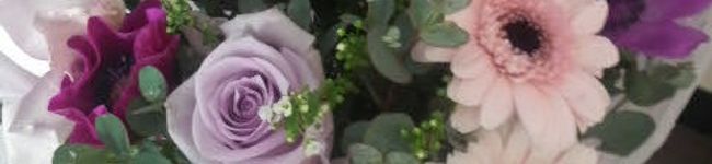 ｍａｉｊｉ's header image