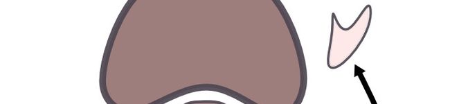 くまのてレシピ's header image