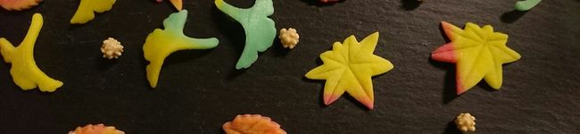 desertrose's header image