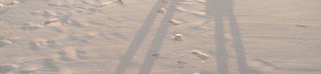 あさこぽ's header image