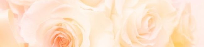 babytail's header image
