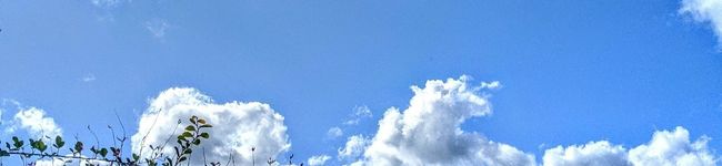 伶夜11's header image