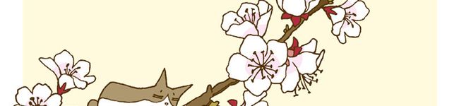 いざよい猫's header image