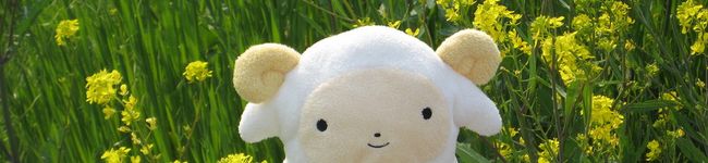 ゆもを's header image