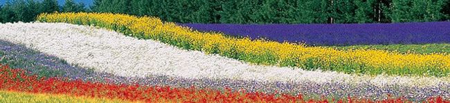 atuharu's header image