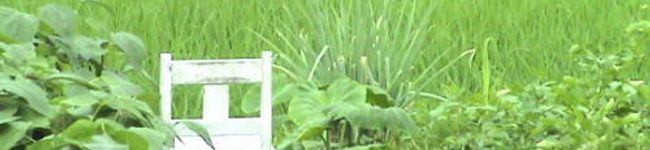 ichichan's header image