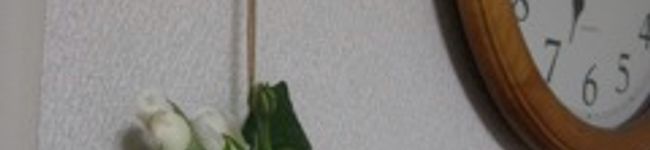 405号室's header image