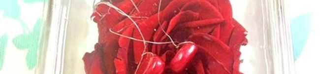 kaorulove's header image