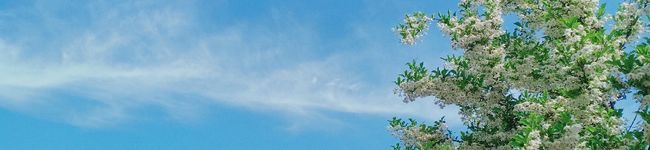 ☆888☆'s header image