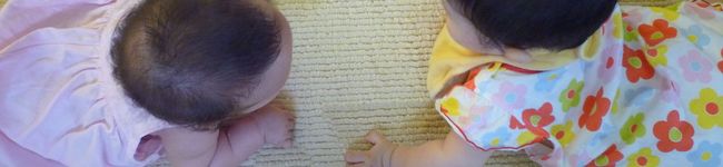 yuicomama's header image