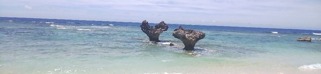 Sachi_1101's header image