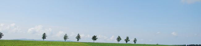 ざぶりん's header image