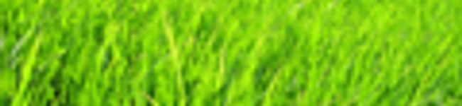 pisgor's header image